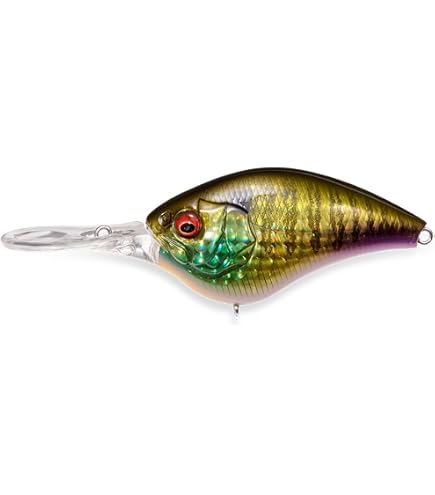 Amazon.co.jp: メガバス(Megabass) ルアー KNUCKLE60 GG メガバス